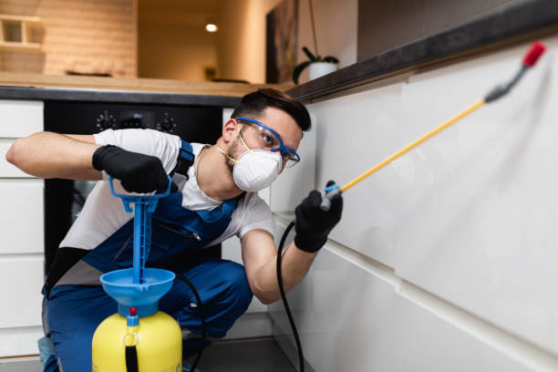 Best Affordable Pest Control Services  in Louisa, VA