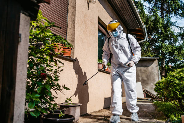 Best Cockroach Control Services  in Louisa, VA