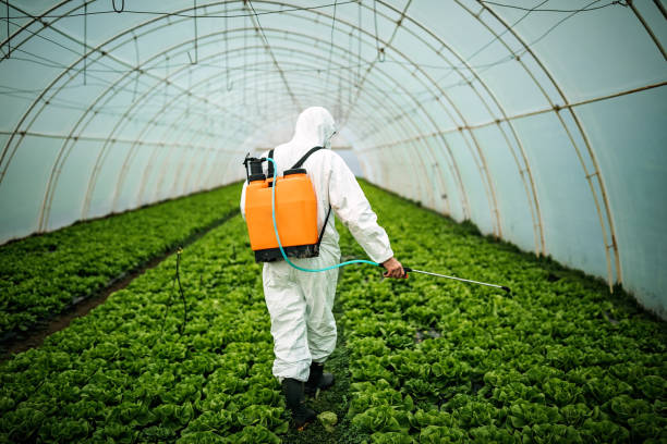 Best Affordable Pest Control Services  in Louisa, VA