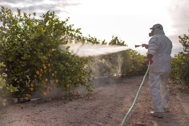 Best Pest Removal Services  in Louisa, VA