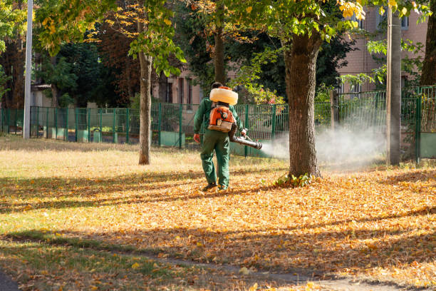 Best Flea Control Services  in Louisa, VA