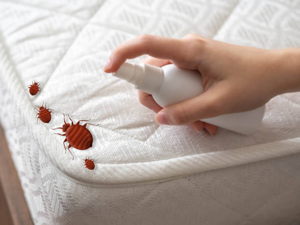 Best Bed Bug Extermination  in Louisa, VA