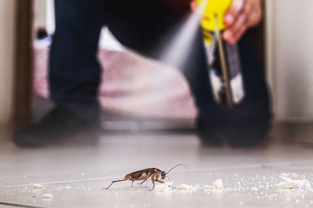 Best Wasp Removal Services  in Louisa, VA