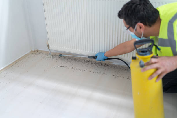 Best Termite Control Services  in Louisa, VA